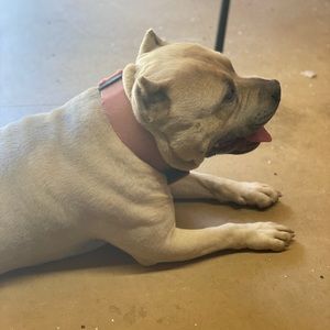 Meet your Posher, Gregory